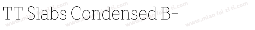 TT Slabs Condensed B字体转换